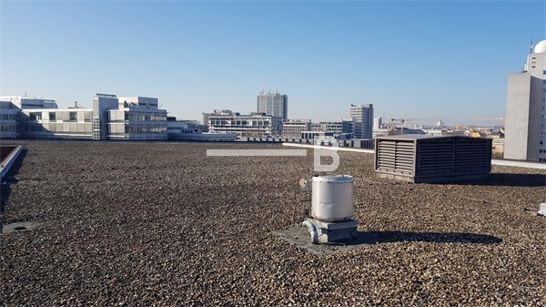 20190218_103250